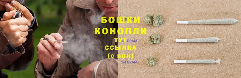 магазин продажи   Коломна  Конопля SATIVA & INDICA 